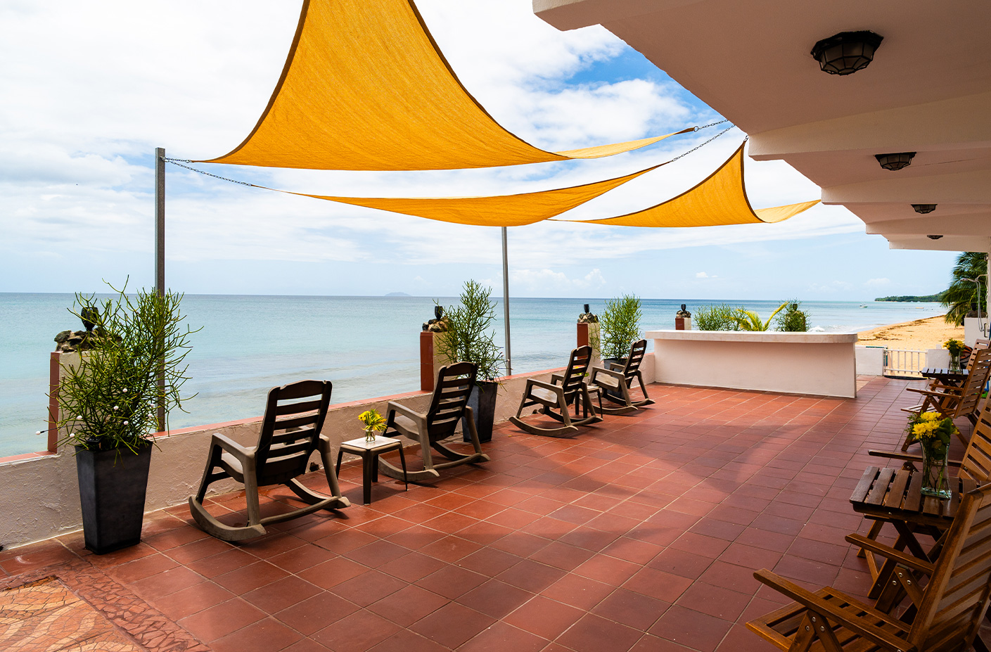Terms and Conditions - Coconut Palms Inn