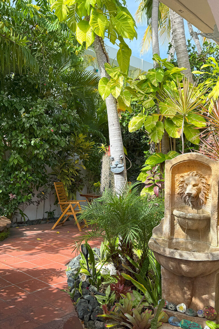 Coconut Palms Inn - CoconutPalmsRincon.Com